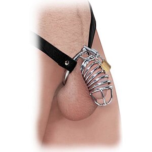 Cușcă Penis Castitate Fetish Fantasy Argintiu