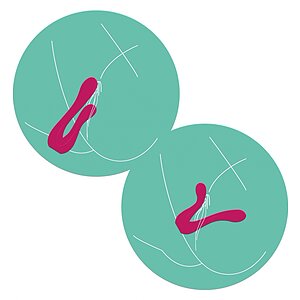 Sync Sensation – Vibrator Dublu, 2 Motoare, 7 Moduri Roz Thumb 5