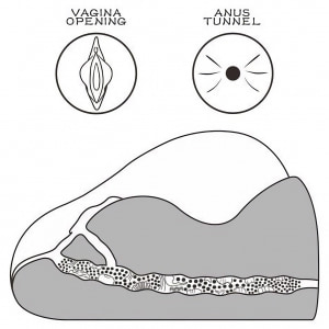 Lovetoy Streetgirls 2 Black, Masturbator TPE 19.5 cm Maro Thumb 2