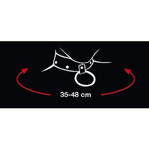 Set Lesă Și Zgardă Bad Kitty Thumb 6