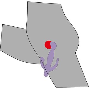 Vibrator 3 Pointer Mov Thumb 4